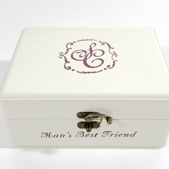 Man's Best Friend Retro CD Player Gif 3