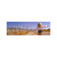 Honk If You're Stupid! Bumper Sticker