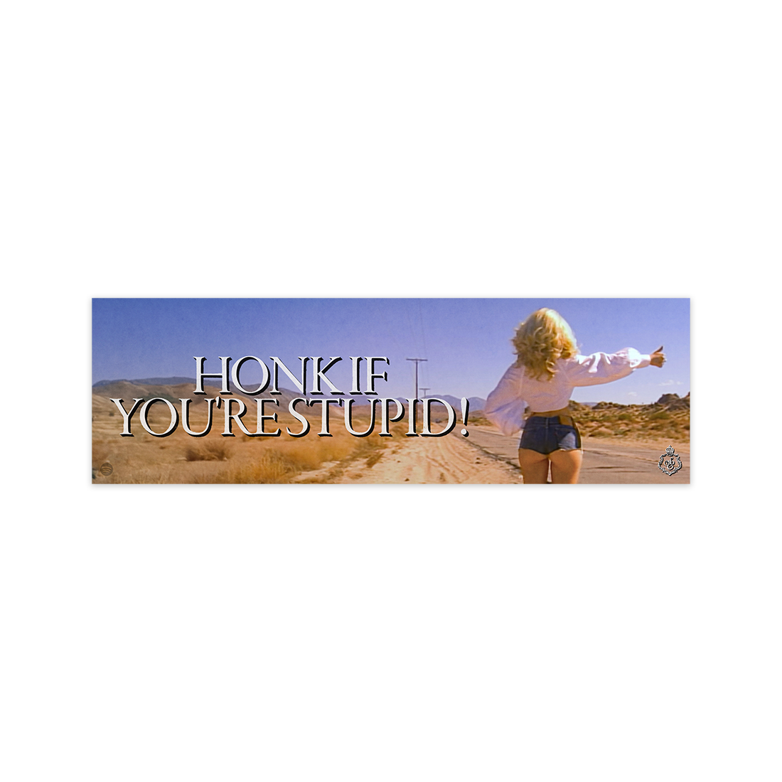 Honk If You're Stupid! Bumper Sticker