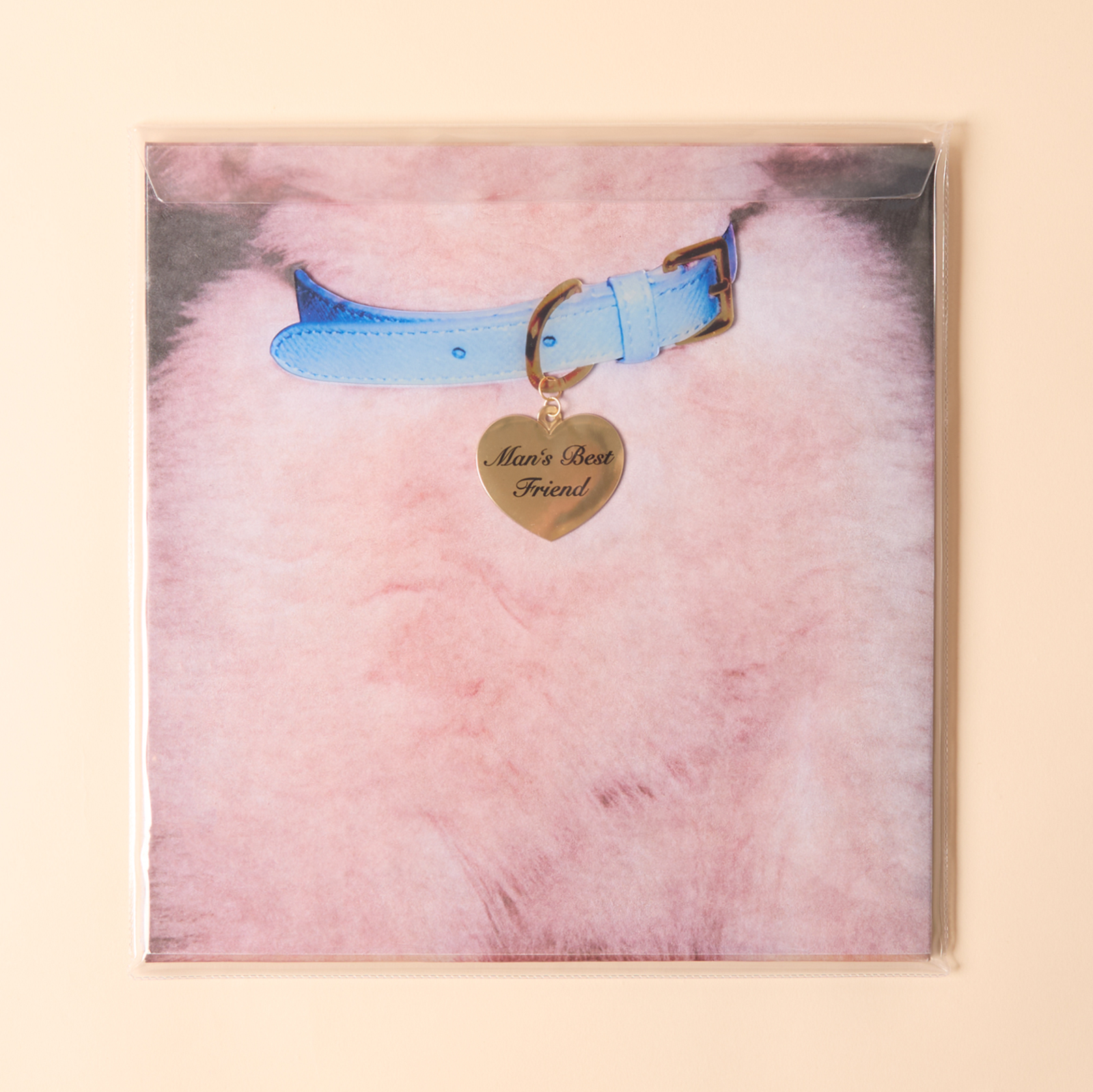 Man's Best Friend D2C Luxe Packaging LP BACK