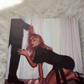 Man's Best Friend D2C Luxe Packaging LP - Sabrina